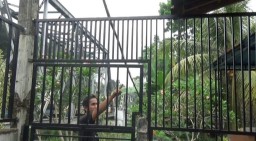 Warga Desa di Banyuwangi Resah Sering Kemalingan Pakaian Dalam Wanita