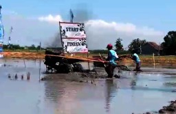 Serunya Lomba Balap Traktor di Sidoarjo