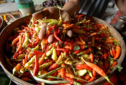 Di Balik Menghilangnya Rasa Pedas di Probolinggo
