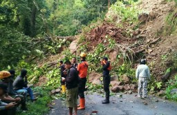 Tebing Longsor, Akses Jalan Malang-Lumajang Terputus