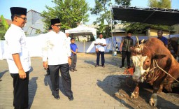 Foto: Polda Jatim Sembelih 27 Sapi dan 5 Kambing