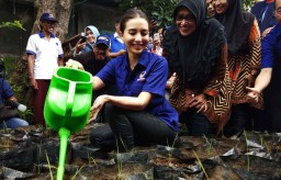 NasDem Sebar 4.000 Bibit Padi di Surabaya