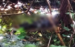 Sesosok Mayat Ditemukan Terlentang di Tengah Hutan di Blitar