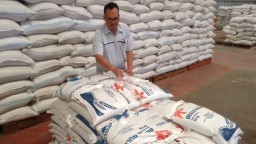 Budi Waseso Jamin Stok Beras Bulog Aman Sampai Akhir Tahun 2019