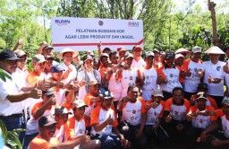 Menteri BUMN Fasilitasi Kredit Lunak bagi Petani Kopi di Banyuwangi 