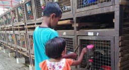 Mini Agrowisata, Alternatif Libur Natal dan Tahun Baru di Surabaya