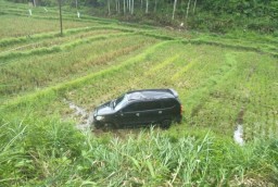 Mobil Minibus Terperosok Masuk Sawah