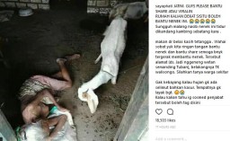 Kasihan! Nenek Miskin di Tuban ini Hidup Bersama Kambing