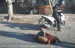 Mendadak Muncul Orang Gila Berkeliaran di Pinggiran Banyuwangi