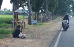 Banyak Orang Gila Berkeliaran di Banyuwangi, Ini Respon Dinas Sosial