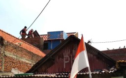 Diduga Jadi Ajang Judi, Polisi Bongkar Kandang Merpati di Surabaya