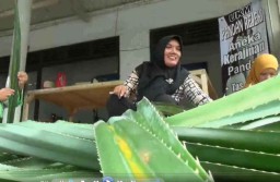 Kerajinan Anyaman Pandan Tumbuhkan Ekonomi Warga Pacitan