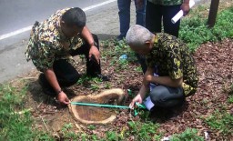 Pembalakan Kayu Sonokeling di Trenggalek-Tulungagung Terus Bertambah
