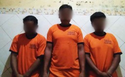 Tebang Pohon di Kawasan Hutan Lindung, 3 Pemuda di Malang Diringkus