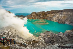 Hutan di Kawasan Cagar Alam Kawah Ijen Terbakar