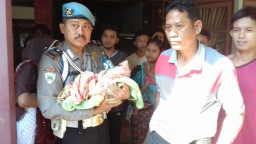 Kasihan, Bayi Tanpa Diselimuti Kain Ditemukan di Hutan Banyuwangi 