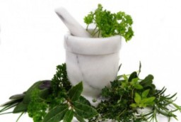 Pati TNI AL Kenalkan Ramuan Herbal Anti Corona