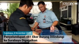 Video: Penyelundupan 481 Ekor Burung Dilindungi