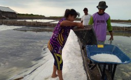 Produksi Melimpah, Harga Garam di Probolinggo Anjlok