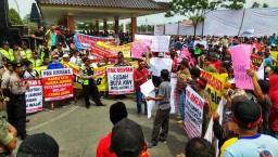 Protes Harga Pakan, Peternak Ayam di Blitar Luruk Kantor Pemkab