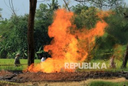 Sumur Tua Pertamina di Indramayu Semburkan Gas dan Api Setinggi 5 Meter