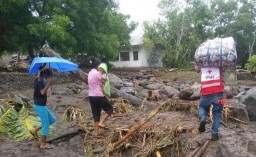 Update Bencana Alam di NTT, BNPB: 128 Orang Meninggal Dunia