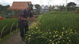 Sukses Agro Expo, Kini Banyuwangi Angkat Konsep Edukasi Pertanian