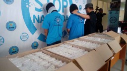 Menggiurkan! Segini Keuntungan Jual Pil Koplo
