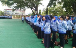 Iming-iming HP, Oknum PNS Cabuli Siswi SMP Hingga Hamil