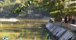 Ikan di Danau Ngebel Ponorogo Mabuk Akibat Fenomena Letupan Belerang