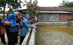 Ini Langkah Kreatif PKK Ponorogo Bantu Kebutuhan Keluarga