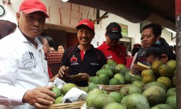 Begini Cara Unik Kader PDIP Probolinggo Kampanyekan Jokowi- Ma'ruf