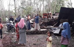 Puting Beliung di Probolinggo, Rumah Ambruk dan Puluhan Pohon Tumbang