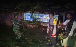 Puluhan Pohon Tumbang dan Rumah Rusak Diamuk Puting Beliung di Ngawi