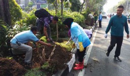 Sambut 'Surabaya Marathon 2018' Wali Kota Risma Percantik Taman Jalan