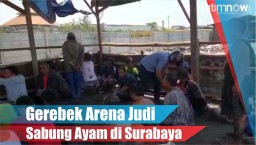 Polisi Gerebek Komplek Judi Sabung Ayam di Gresik
