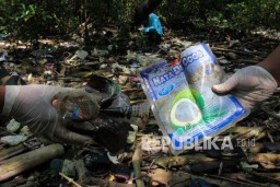 Miris, 200 Kilogram Sampah Plastik Diangkut dari Mangrove Wonorejo