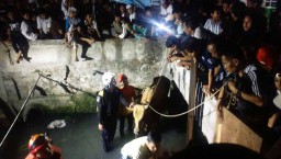 Sapi Kurban di Surabaya Mengamuk hingga Terjun ke Sungai 