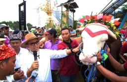 Inovasi Baru di Banyuwangi, Pantau Hewan Ternak dengan Aplikasi HP