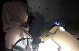 Razia di Banyuwangi, Polisi Temukan Dua Macan yang Diawetkan