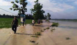 Hujan Deras, Sawah dan Rumah Warga di Bojonegoro Terendam Banjir