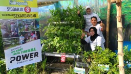 Tanam Sayuran Hidroponik, Inovasi Kampung Edukasi Sampah di Sidoarjo