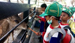 Kenalkan Jenis-jenis Satwa, SD Muhammadiyah 15 Ajak Siswanya ke KBS