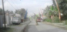 Geram Tak Diperhatikan, Warga Tanami Pohon Pisang di Tengah Jalan