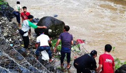 Komunitas Peduli Lingkungan di Pasuruan Gelar Aksi Bersih Sungai