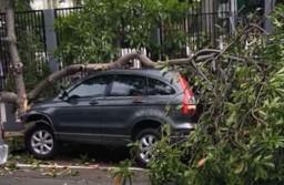 Honda CR-V Ringsek Tabrak Pohon, Sopir Diduga Mengantuk