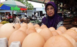 Harga Telur Ayam di Lamongan Tembus Rp28 Ribu, Ini Pemicunya