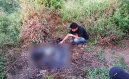 Tengkorak Manusia Gosong Bikin Geger Warga di Mojokerto
