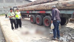 Sopir Truk ini Tewas dengan Kepala Pecah Tertimpa Kayu Gelondongan