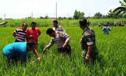 Diduga Hendak Curi Kabel Pompa Air, Pria ini Tewas Tersetrum